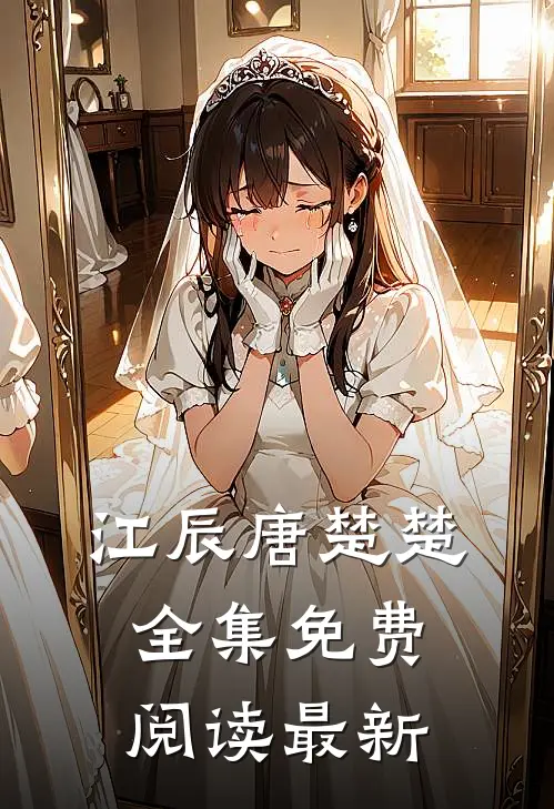 江辰唐楚楚全集免费阅读最新