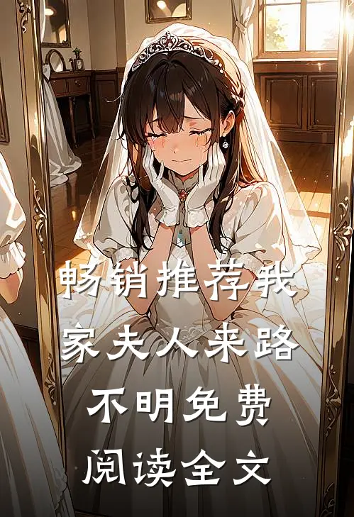 畅销推荐我家夫人来路不明免费阅读全文