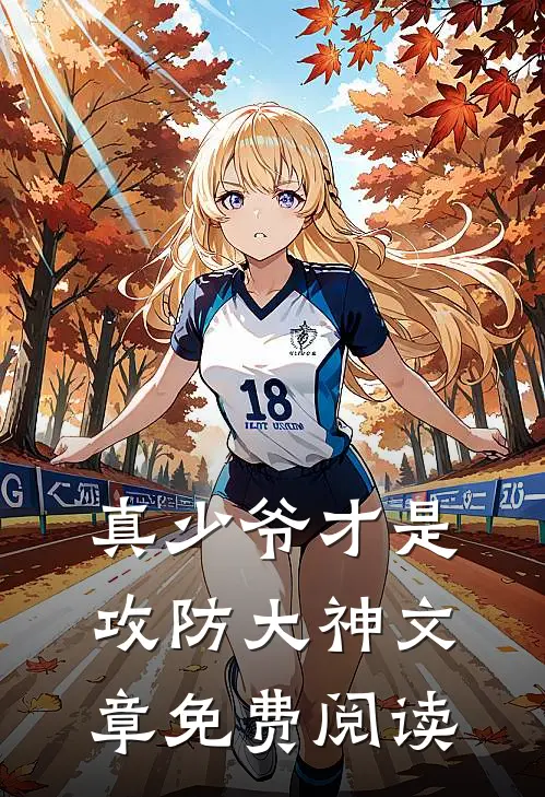 真少爷才是攻防大神文章免费阅读