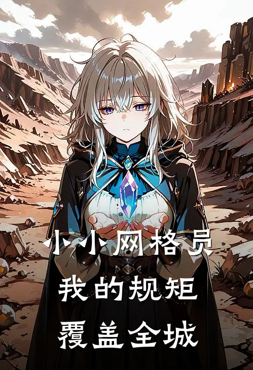 小小网格员，我的规矩覆盖全城