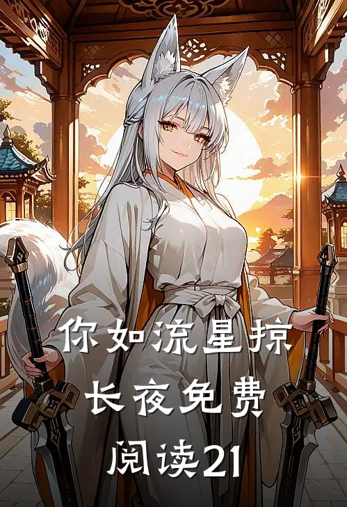 你如流星掠长夜免费阅读21