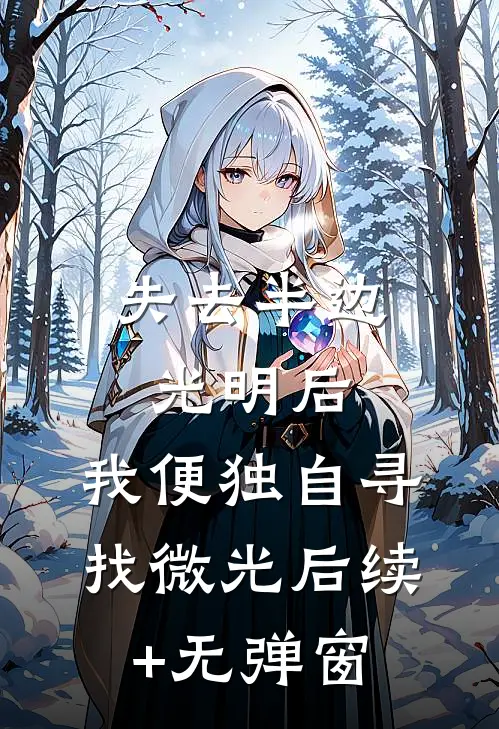 失去半边光明后，我便独自寻找微光后续+无弹窗