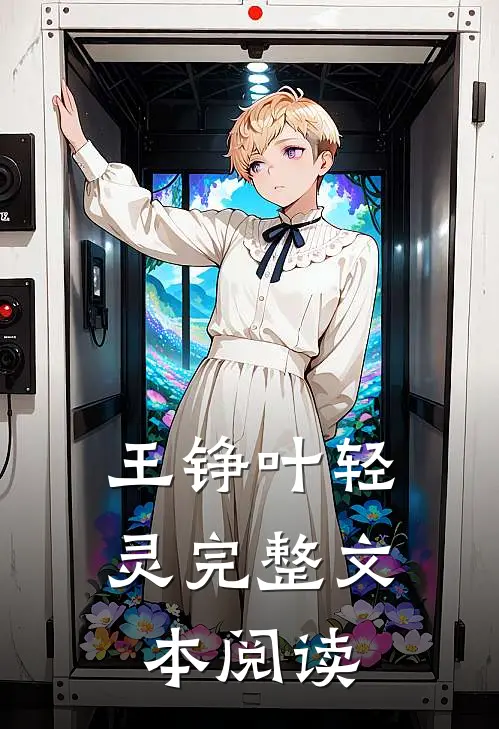 王铮叶轻灵完整文本阅读