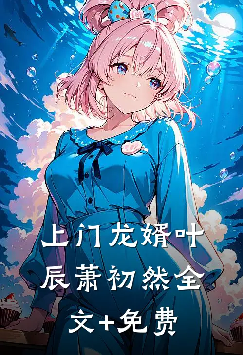 上门龙婿叶辰萧初然全文+免费