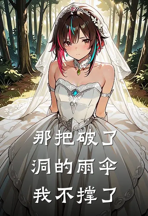 那把破了洞的雨伞，我不撑了