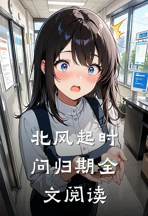 北风起时问归期全文阅读
