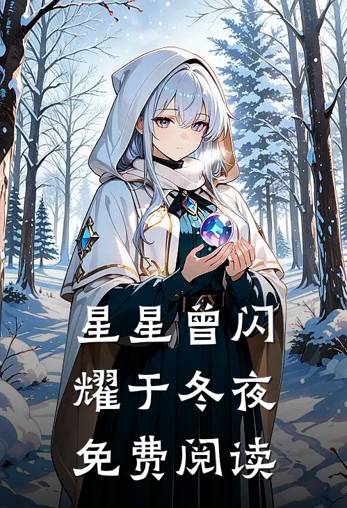 星星曾闪耀于冬夜免费阅读