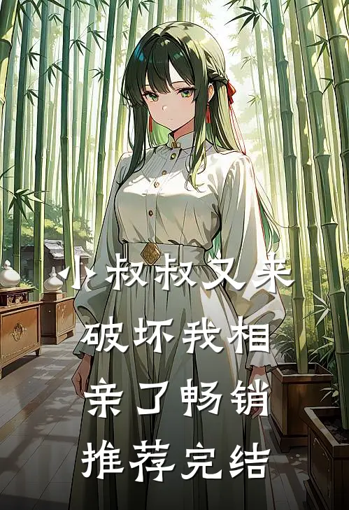 小叔叔又来破坏我相亲了畅销推荐完结