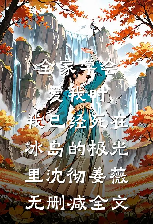 全家学会爱我时，我已经死在冰岛的极光里沈彻姜薇无删减全文