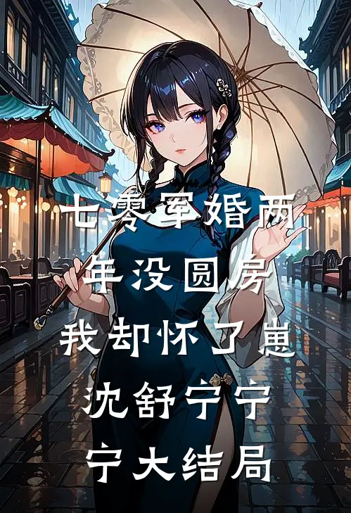 七零军婚两年没圆房，我却怀了崽沈舒宁宁宁大结局