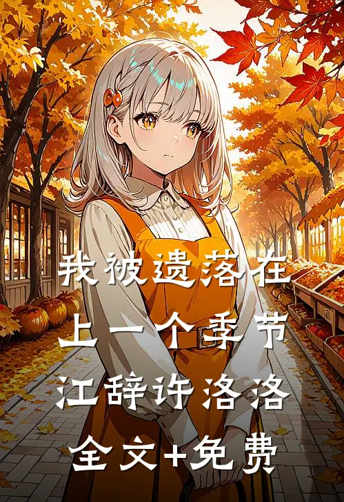 我被遗落在上一个季节江辞许洛洛全文+免费