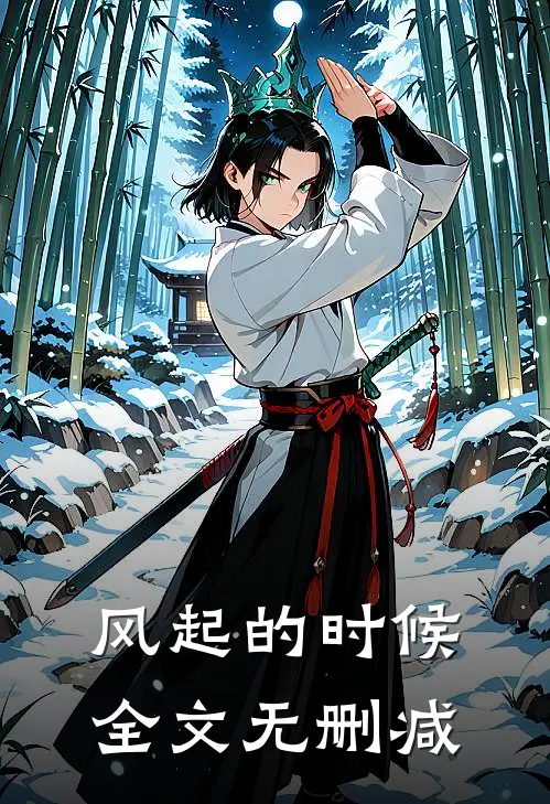 风起的时候全文无删减