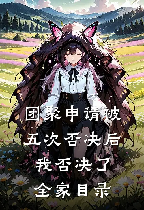 团聚申请被五次否决后，我否决了全家目录