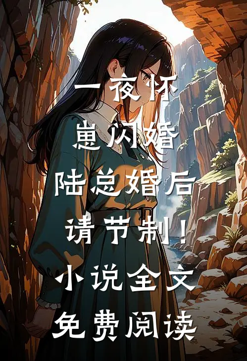 一夜怀崽闪婚，陆总婚后请节制！小说全文免费阅读