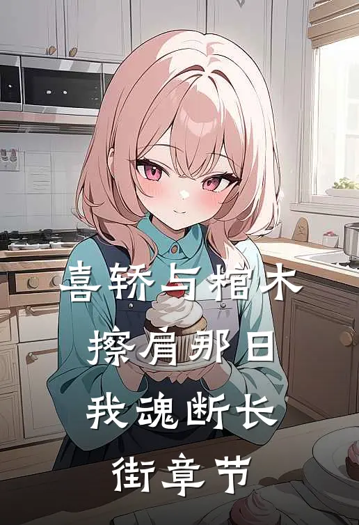 喜轿与棺木擦肩那日，我魂断长街章节