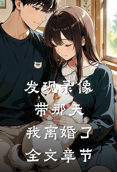发现录像带那天，我离婚了全文章节
