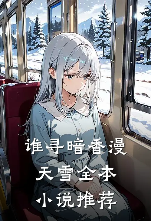 谁寻暗香漫天雪全本小说推荐