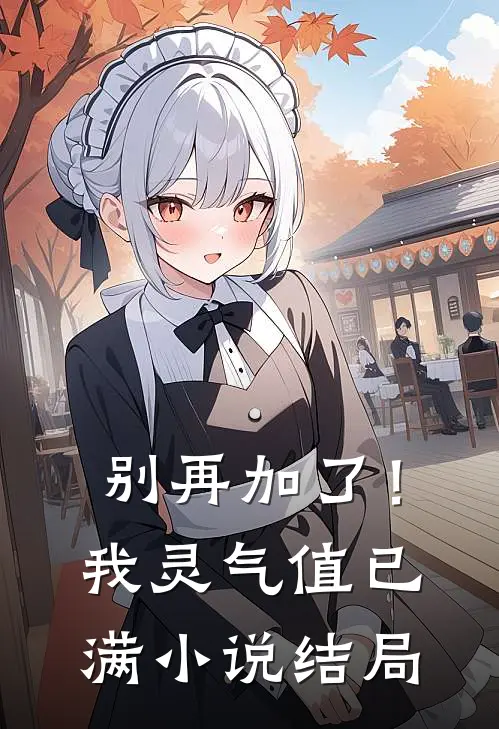 别再加了！我灵气值已满小说结局