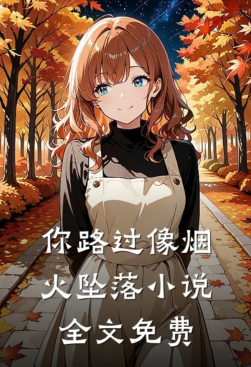 你路过像烟火坠落小说全文免费