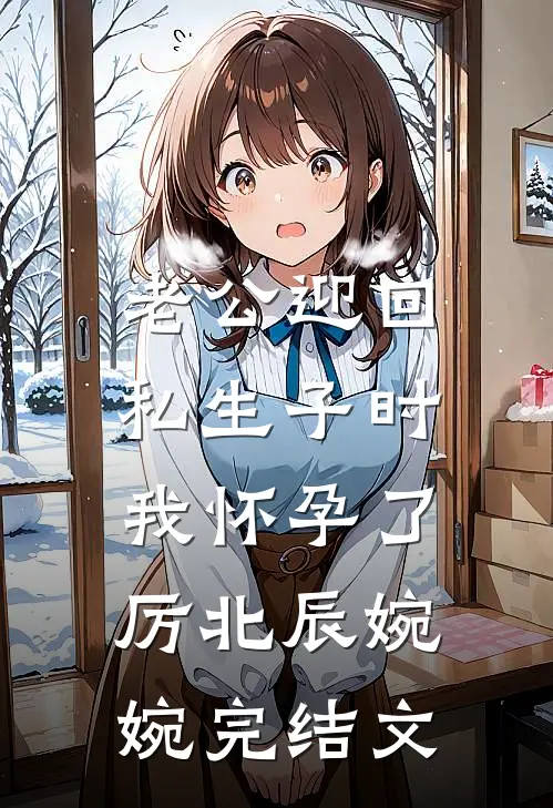老公迎回私生子时，我怀孕了厉北辰婉婉完结文
