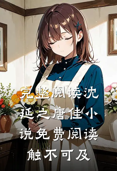 完整阅读沈延之唐佳小说免费阅读触不可及