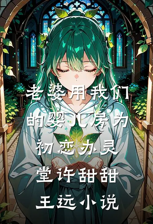 老婆用我们的婴儿房为初恋办灵堂许甜甜王远小说