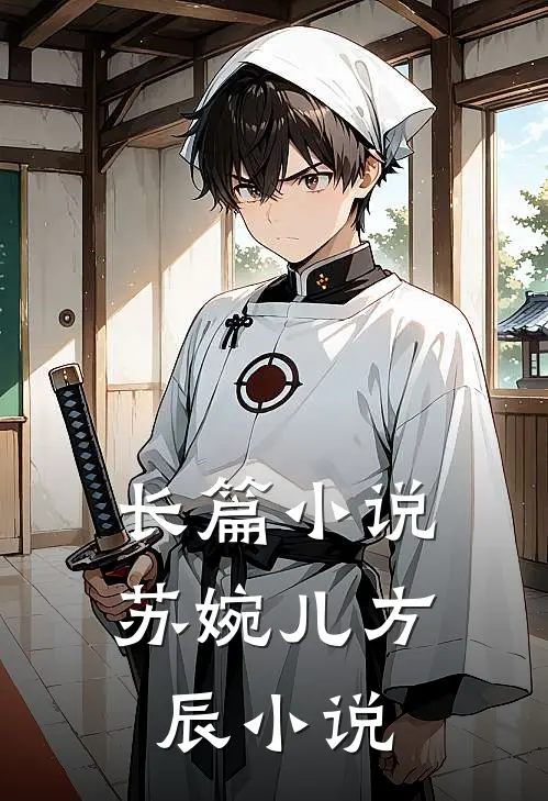 长篇小说苏婉儿方辰小说