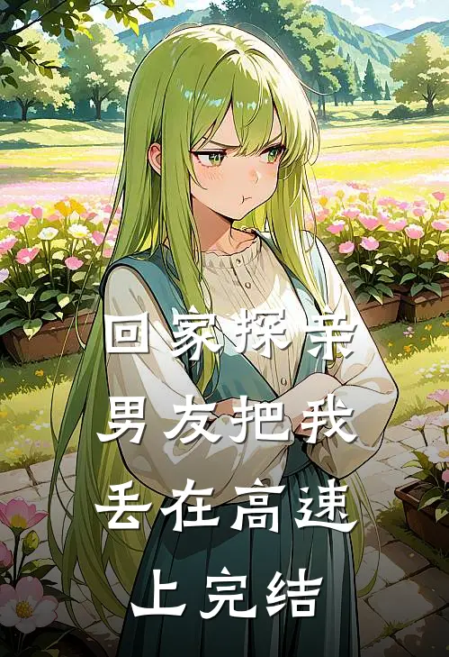 回家探亲，男友把我丢在高速上完结