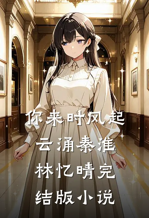 你来时风起云涌秦淮林忆晴完结版小说