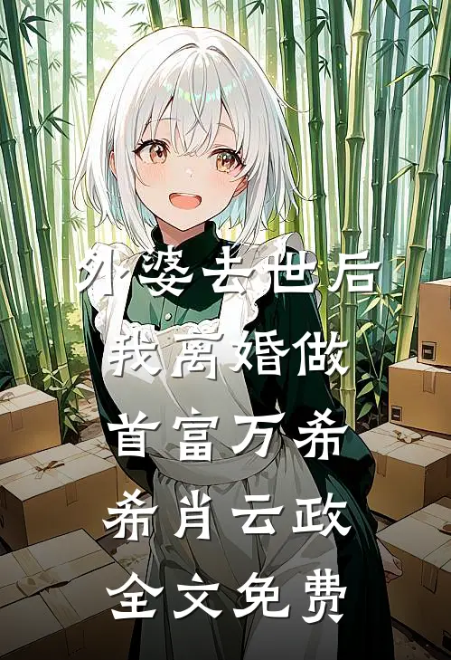 外婆去世后，我离婚做首富万希希肖云政全文免费