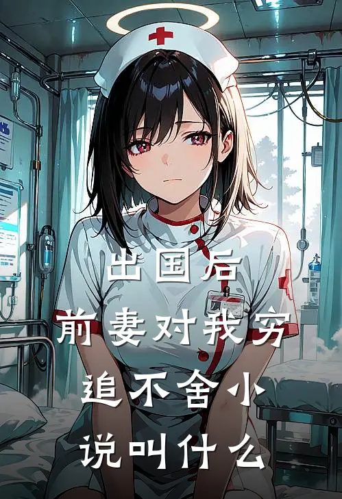 出国后，前妻对我穷追不舍小说叫什么