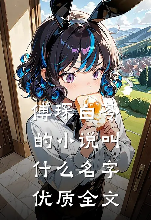 傅琛白苓的小说叫什么名字优质全文