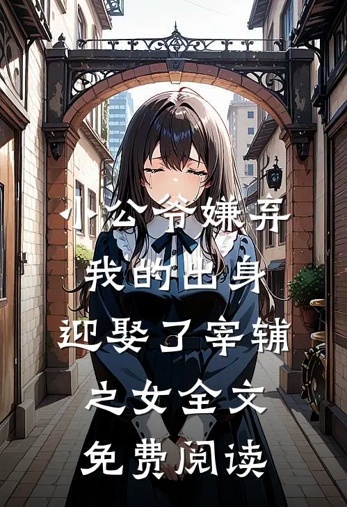 小公爷嫌弃我的出身，迎娶了宰辅之女全文免费阅读