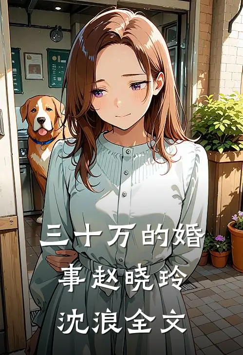 三十万的婚事赵晓玲沈浪全文