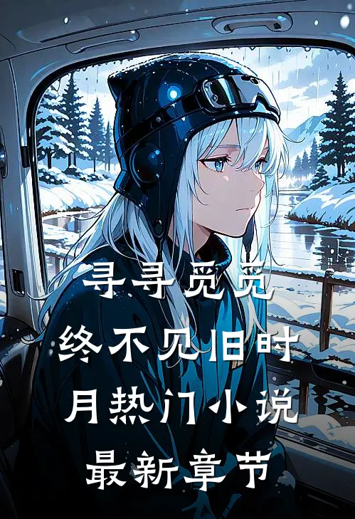 寻寻觅觅，终不见旧时月热门小说最新章节