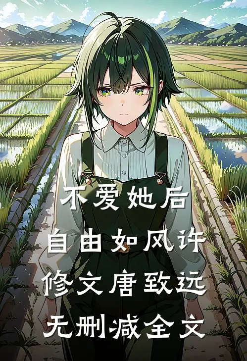 不爱她后，自由如风许修文唐致远无删减全文