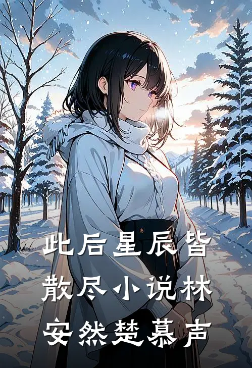 此后星辰皆散尽小说林安然楚慕声