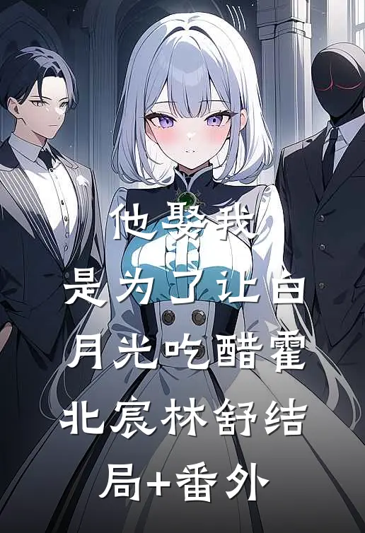 他娶我，是为了让白月光吃醋霍北宸林舒结局+番外
