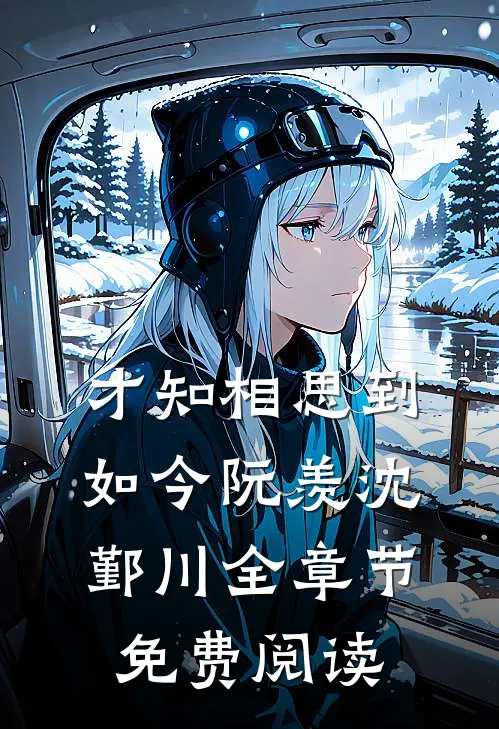 才知相思到如今阮羡沈鄞川全章节免费阅读