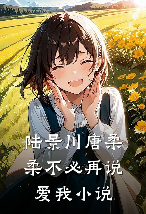 陆景川唐柔柔不必再说爱我小说