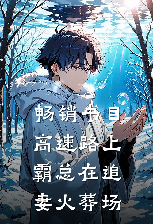 畅销书目高速路上，霸总在追妻火葬场