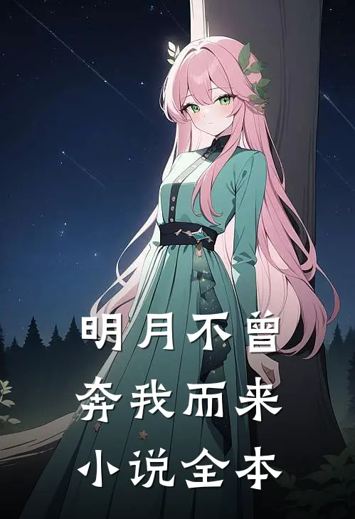 明月不曾奔我而来小说全本