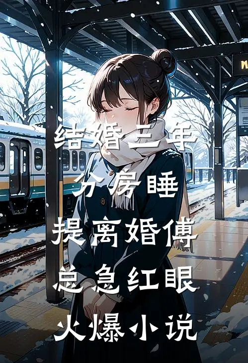 结婚三年分房睡，提离婚傅总急红眼火爆小说