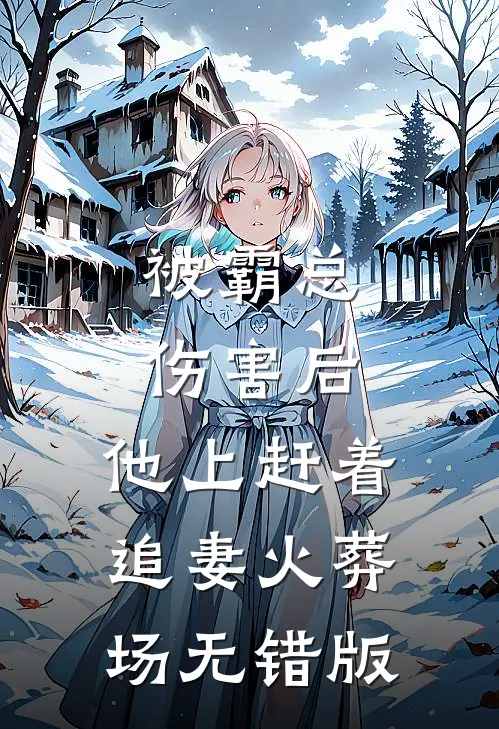 被霸总伤害后，他上赶着追妻火葬场无错版