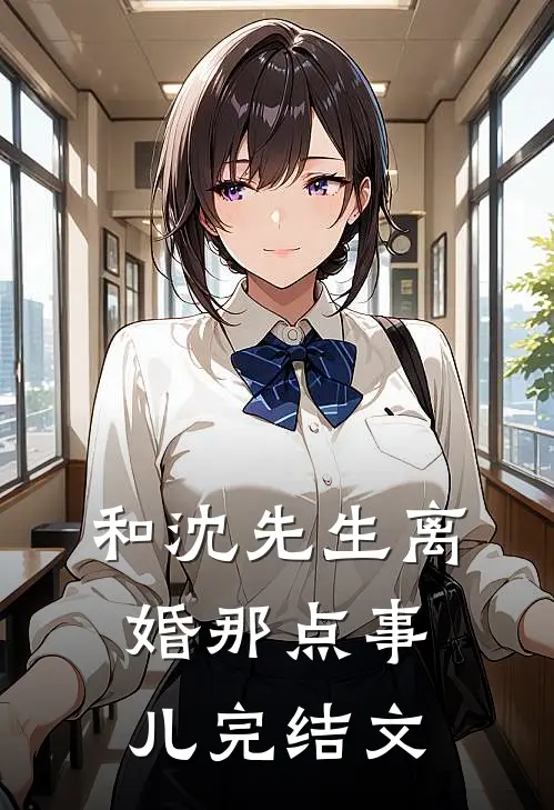 和沈先生离婚那点事儿完结文