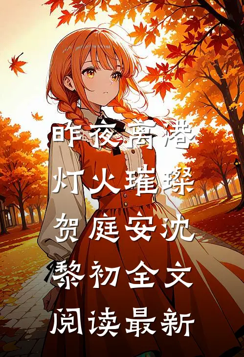 昨夜离港，灯火璀璨贺庭安沈黎初全文阅读最新