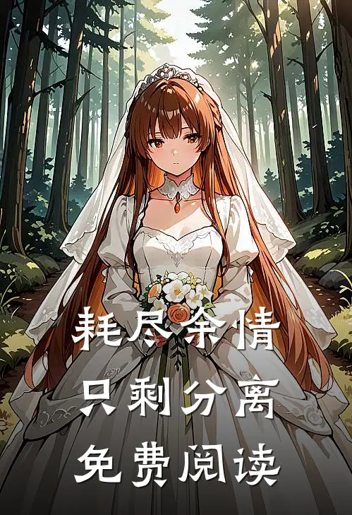 耗尽余情，只剩分离免费阅读