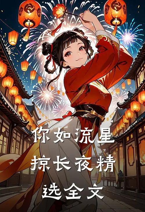 你如流星掠长夜精选全文