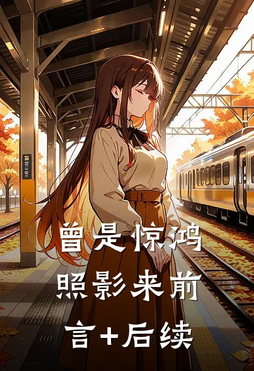 曾是惊鸿照影来前言+后续