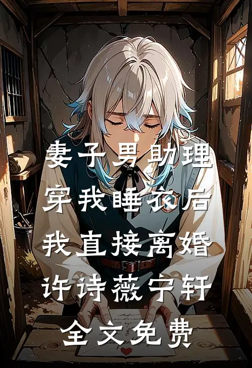 妻子男助理穿我睡衣后，我直接离婚许诗薇宁轩全文免费